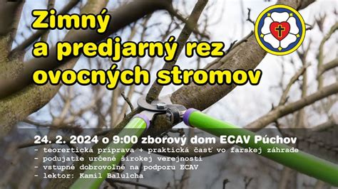 praktické ukážky rezu ovocných stromov