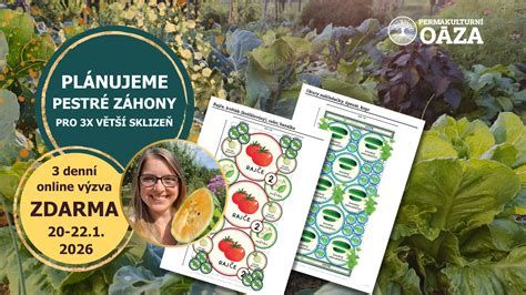 Pestré tulipánové záhony