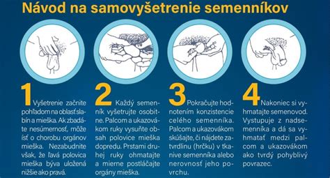 Schéma zostupu semenníkov