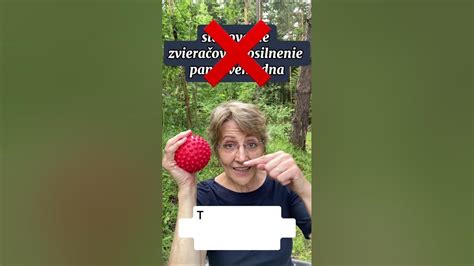 Anatómia panvového dna, ilustračná schéma