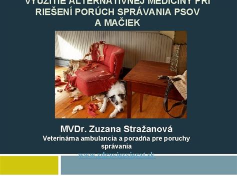 Role CPPaP pri riešení porúch správania