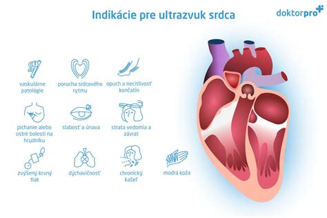 Zhrubnutie stien srdca pri hypertrofickej kardiomyopatii