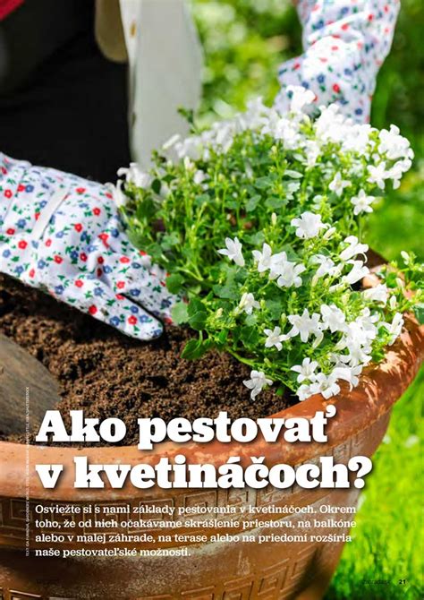 Zalievanie letničiek v kvetináčoch