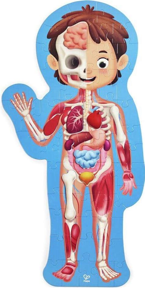 Dôsledky malnutrície na ľudské telo