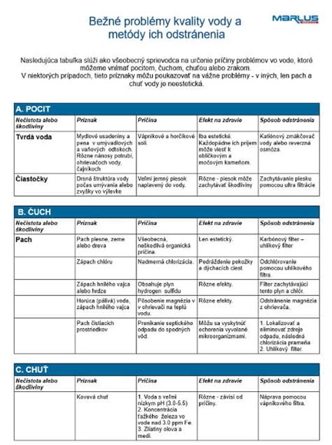 Tabuľka: Bežné logické chyby a ich popis