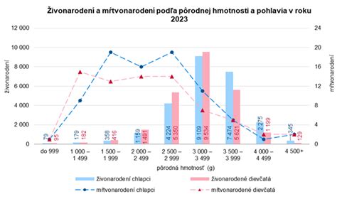 Prednemocničná starostlivosť o rodičku - všeobecný prehľad