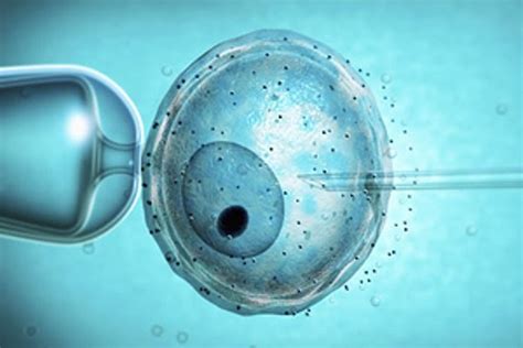 Asistovaná reprodukcia a IVF