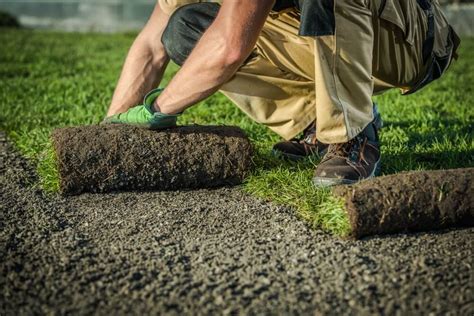 Porovnanie výsevu a pokládky trávnika